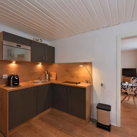 Alpenflair 110 Haus Ellen * Όμπερσντορφ